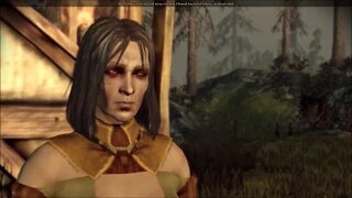 Let's Play Dragon Age Origins Female Dwarf Noble Rogue Ep 28 of 57 Flemeth (Complete)