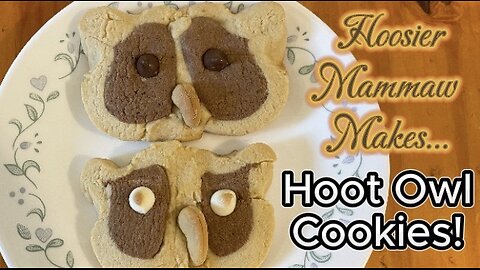Hoot Owl Cookies!