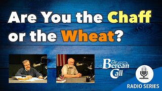 Are You The Chaff Or The Wheat?