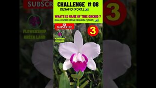 CHALLENGE # 08 |WHATS IS NAME OF THIS ORCHIDS?| YOU WANT TO LEARN? | # SHORT