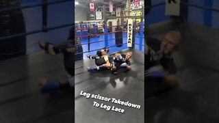 Scissor Leg Takedown