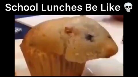 School Lunches be like..