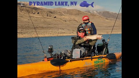 Lahontan cutthroat Vs. Six Year Old