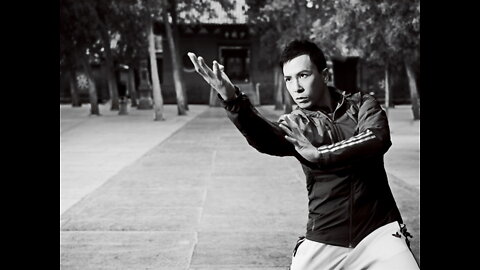 Donnie Yen Training