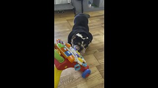 Cleatus Clyde luvs toddler toys