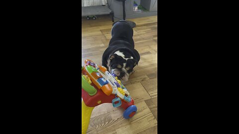 Cleatus Clyde luvs toddler toys