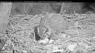 Mom Brings In Breakfast 🦉 2/22/22 02:51