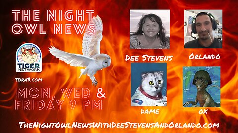 The Night Owl News With Dee Stevens, Orlando, Dame & Ox - 06/05/2023