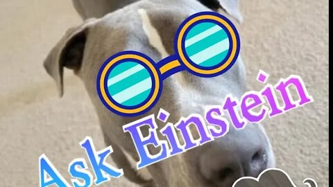 Einsteins Backyard Ep 9 - Ask Einstein- The Einstein Process