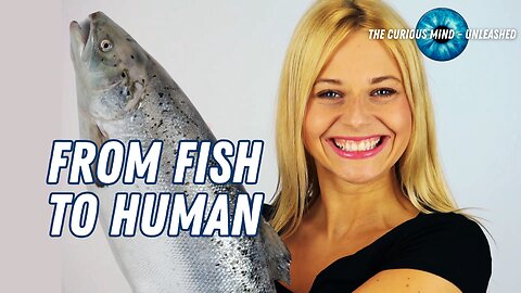 From Fish to Human: The Astonishing Journey of Human Evolution | The Curious Mind Unleashed
