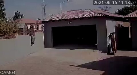 Dogs attacked an invading thief