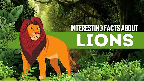 Interesting Facts About Lions | Lions Facts For Kids | Lions Facts
