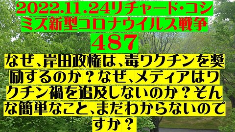 2022.11.24 リチャード・コシミズ新型コロナウイルス戦争４８７