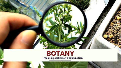 What is BOTANY?