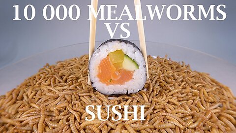 10 000 Mealworms VS Sushi