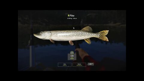 Russian Fishing 4 Kuori lake Pike 3.165 Kg