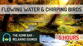Flowing Water & Chirping Birds | Relieve Stress, Relaxing, Nature, Drift to Sleep | White Noise