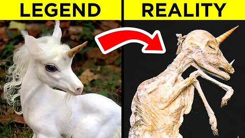 Mythical Creatures That Actually Exist In Real Life