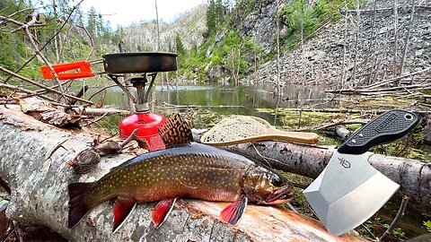 WILD Mountain Trout Fishing & SOLO Backpacking!!! (Catch, Cook, Camp Movie)