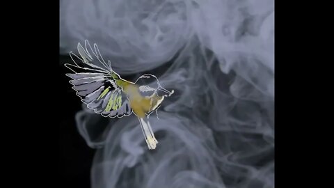 One Minute - Art by Ralph Cannell Music Charlie Puth - Attention #hummingbirds