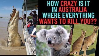 How Crazy is Australia where everything nearly wants to Kill you?