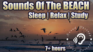 BEACH SOUNDS!! Fall asleep to the SOUNDS of waves, seagulls and wind! Summer sounds! Black Screen