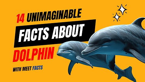 14 unimaginable Facts About dolphins | Fascinating Facts About Dolphins