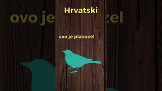 This is teal. How to Learn Croatian the Easy Way! #learn #croatian #colors #teal