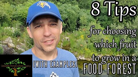 8 Tips for choosing what fruit you should grow in your permaculture food forest - with examples.