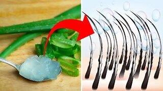 This is Why You Need To Use Aloe Vera On Your Hair