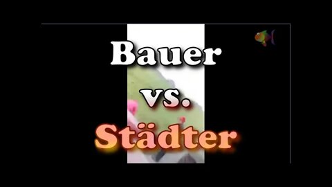Bauer vs. Städter