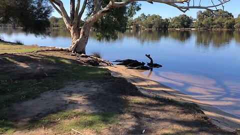 Glassy conditions on the river today 🙌LOVE AUSTRALIA🇦🇺🙌