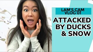 🦆 Attacked by Ducks & Snow | Lam’s Cam ~ Vlog 01 // Rack of Lam