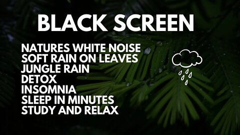 GENTLE RAIN FOR INSOMNIA WITH NO THUNDER, NATURES WHITE NOISE TO SLEEP IN MINUTES, STUDY RELAX DETOX