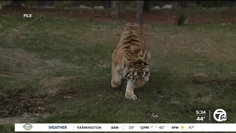 Detroit Zoo beefs up security after unusual activity suspected