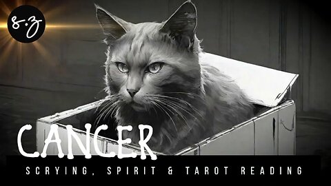 Cancer ♋ Schrodingers Cat & Soul Mates (Scrying, Spirit & Tarot)