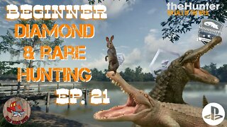 Beginner Diamond & Rare Hunting Ep 21 theHunter Call of the Wild