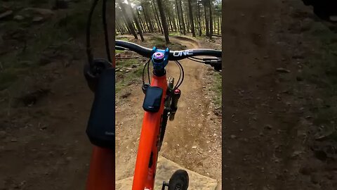 Snippet of fools gold at the new trails at tarland