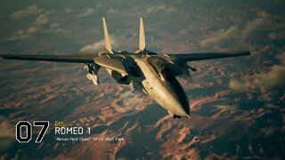 1st time getting Escape Artist Survivor Specter and Pacifist with F14 in Ace Combat 7