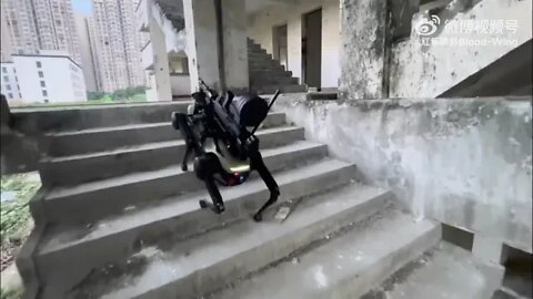 A fighting robotic dog with installed weapons
