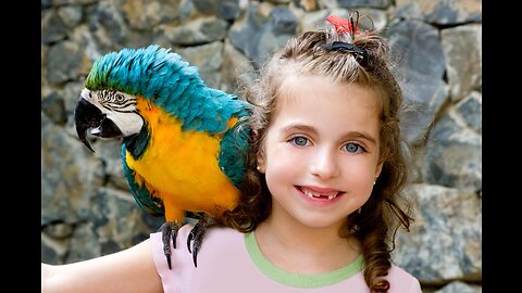 Happy Talking parrots #funny #parrots
