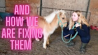 All The Mistakes We Made With Our Foal!