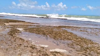 Praia Dunas de Marapé2