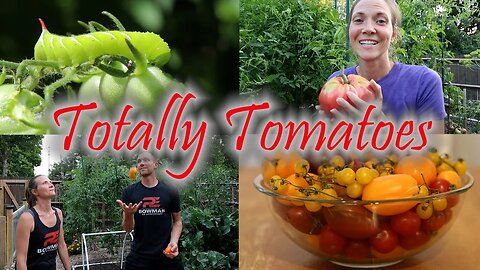 Totally Tomatoes (Garden Episode Two): Planting, Hornworms, Harvesting and More!