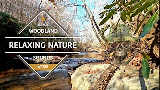 Relaxing Nature Sounds, Woodland Ambience, Water, Silent, Sleep, ASMR