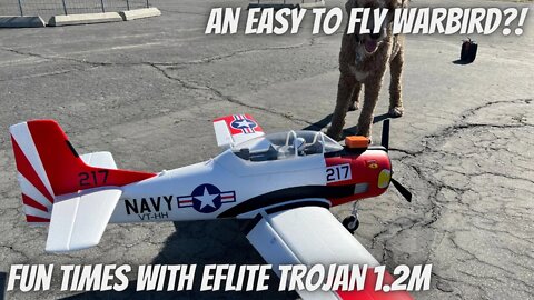A Man, His Dog and His Eflite T-28 Trojan 1.2M RC Plane!