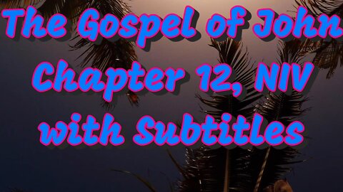 The Holy Bible - The Gospel of John Chapter 12 (Audio Bible - NIV) subtitles