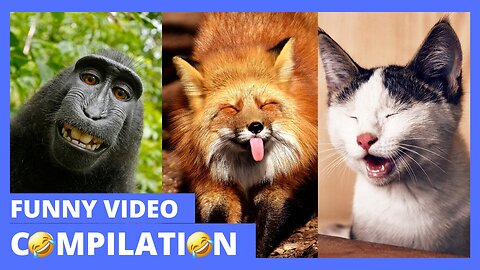 FUNNY CATS, DOGS, PARROTS and other SURPRISING ANIMALS | Funniest Animal Videos 2024