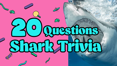 Only 5% of people can finish this SHARK QUIZ with 100% Score!