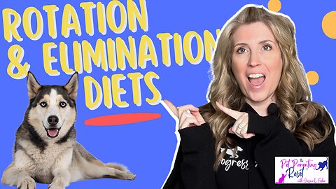 What is a Rotation & Elimination Diet for my Dog?